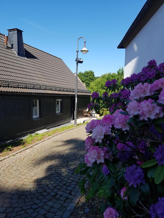 Pilgrims "Elfriede"- Freundliche Unterkunft Remblinghausen Kültér fotó